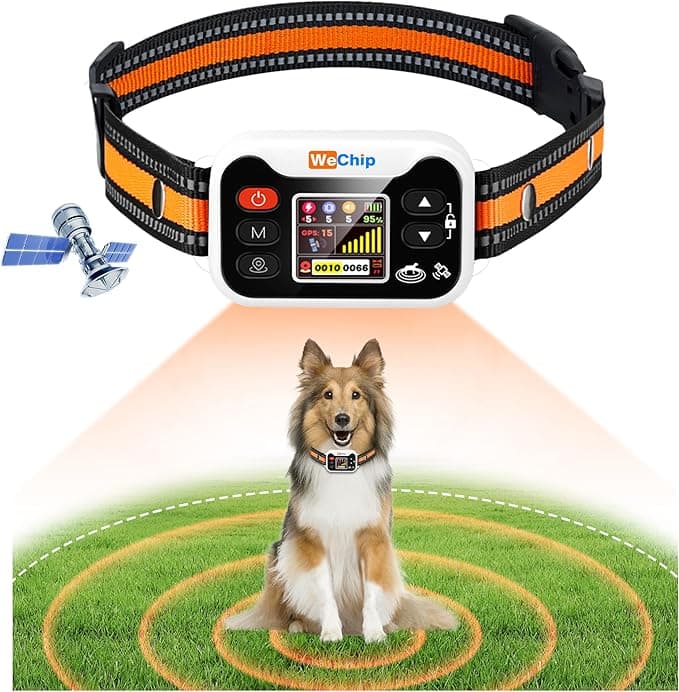 GPS Dog Fence System